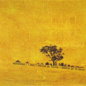 I Don't Wanna Go Home, I Wanna Go To Reno!