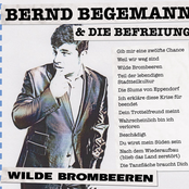 Wilde Brombeeren