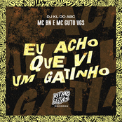 Eu Acho Que Vi um Gatinho