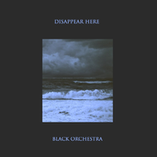 black orchestra