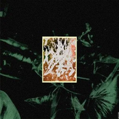 Cohort B: 1001 LUKEWARM USA