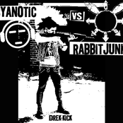 cyanotic vs. rabbit junk