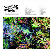 Two Birds / One Seed