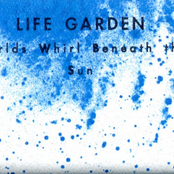 Worlds Whirl Beneath the Sun