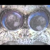 II: Zarathustra's Puzzle