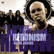 Hedonism (Just Because You Feel Good) cover
