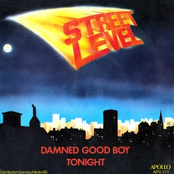 Damned Good Boy by Street Level