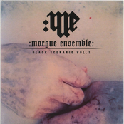 Black Scenario Vol. 1