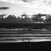 The Flower I Love(d)