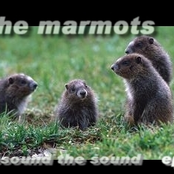 Themarmots