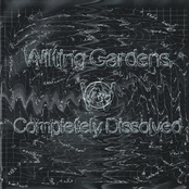 Completely Dissolved