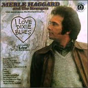 Champagne by Merle Haggard