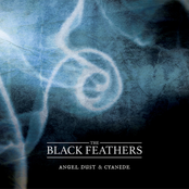 The Black Feathers: Angel Dust & Cyanide