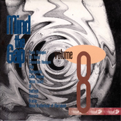 Mind The Gap Volume 8