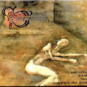 ... And Voices, Words, Faces Complete The Dream