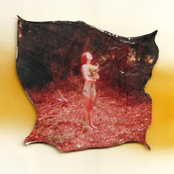 Melody's Backyard - Single