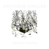 I Lost My Love To The Storm by Arctique Circles