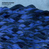 Avishai Cohen: Seven Seas