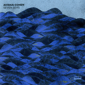 Worksong by Avishai Cohen