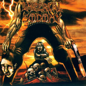 2001 - Tormenting The Pacifist