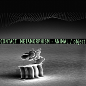 Contact  Metamorphism