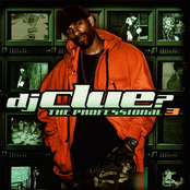 DJ Clue: The Professional 3