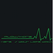 Here's Your Life Back