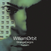 Love My Way by William Orbit