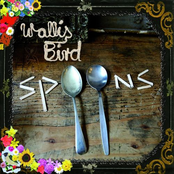 Wallis Bird: Spoons