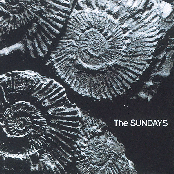 You're Not The Only One I Know by The Sundays