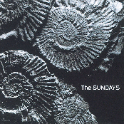 Joy by The Sundays