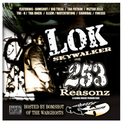 Lok Skywalker - 253 Reasonz
