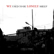 We Used To Be Lonely Sheep