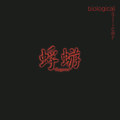 Biological Slicer