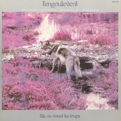 L'île où vivent les loups