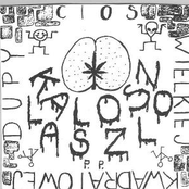 Cios Wielkiej Kwadratowej Dupy