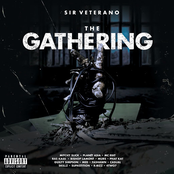 Sir Veterano: The Gathering