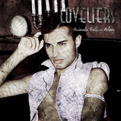 Animals Falling Asleep