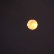 The Moon And The Night
