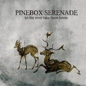 Bottle And Rusty Blade by Pinebox Serenade