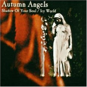 Shadow Of Your Soul/Icy World