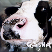 OK 목장의 젖소 Milk Cattle at the OK Corral