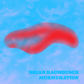 Murmuration