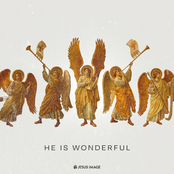 He Is Wonderful (Live)