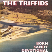 The Seabirds by The Triffids