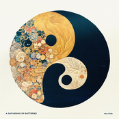 a gathering of batteries