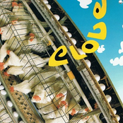 Clove: Rollercoaster