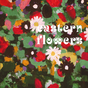 Sven Wunder: Eastern Flowers