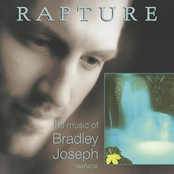 Stray by Bradley Joseph