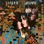 Cocoon by Siouxsie And The Banshees